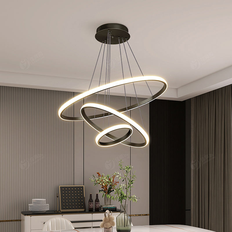 Luminaire Suspendu 3 Anneaux Réglables