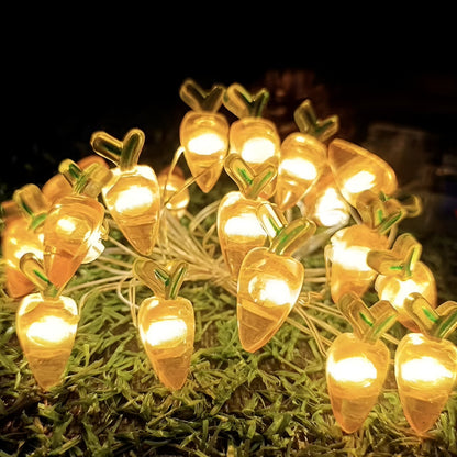 Guirlande lumineuse LED Féerie Maison