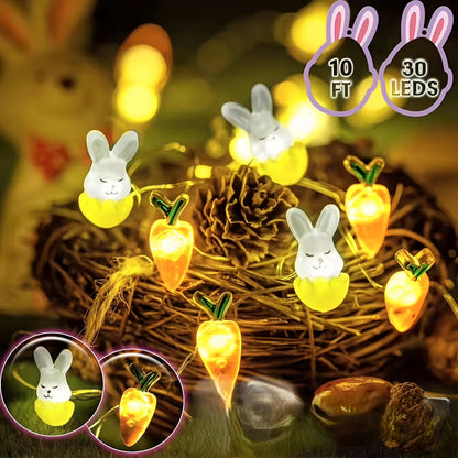 Guirlande lumineuse LED Féerie Maison