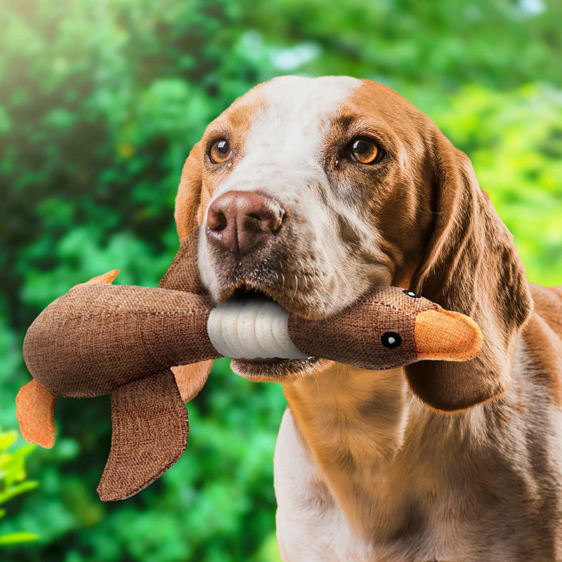 Jouet Pour Chien Durable et Résistant Pour Mâcheurs Actifs 2
