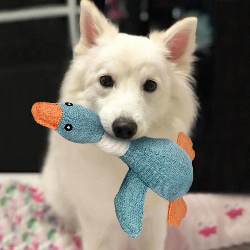 Jouet Pour Chien Durable et Résistant Pour Mâcheurs Actifs 4