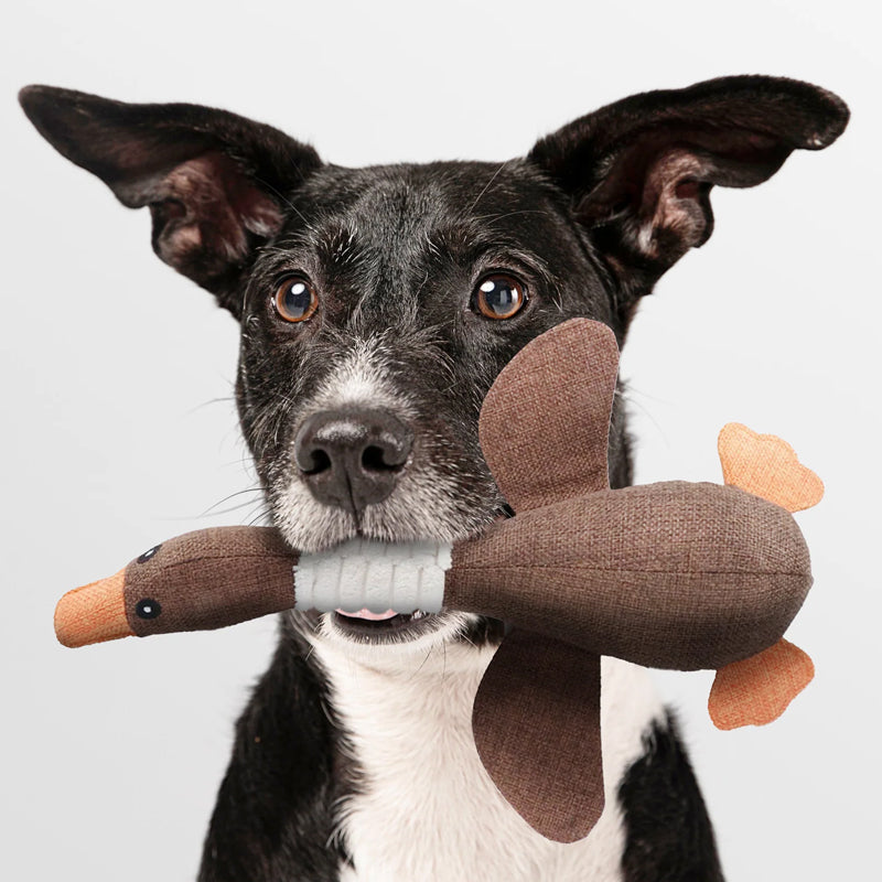 Jouet Pour Chien Durable et Résistant Pour Mâcheurs Actifs 5