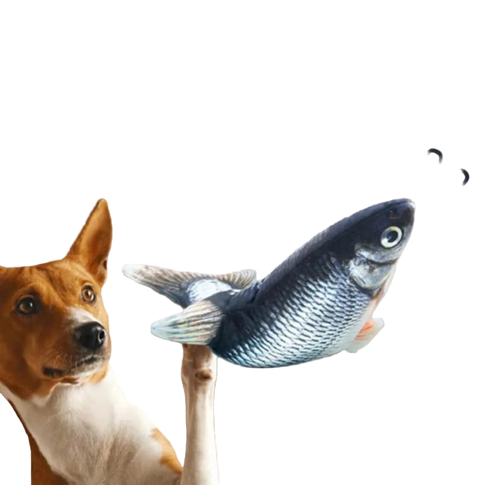 Jouet Interactif Chien Forme Poisson Souple - Foivo