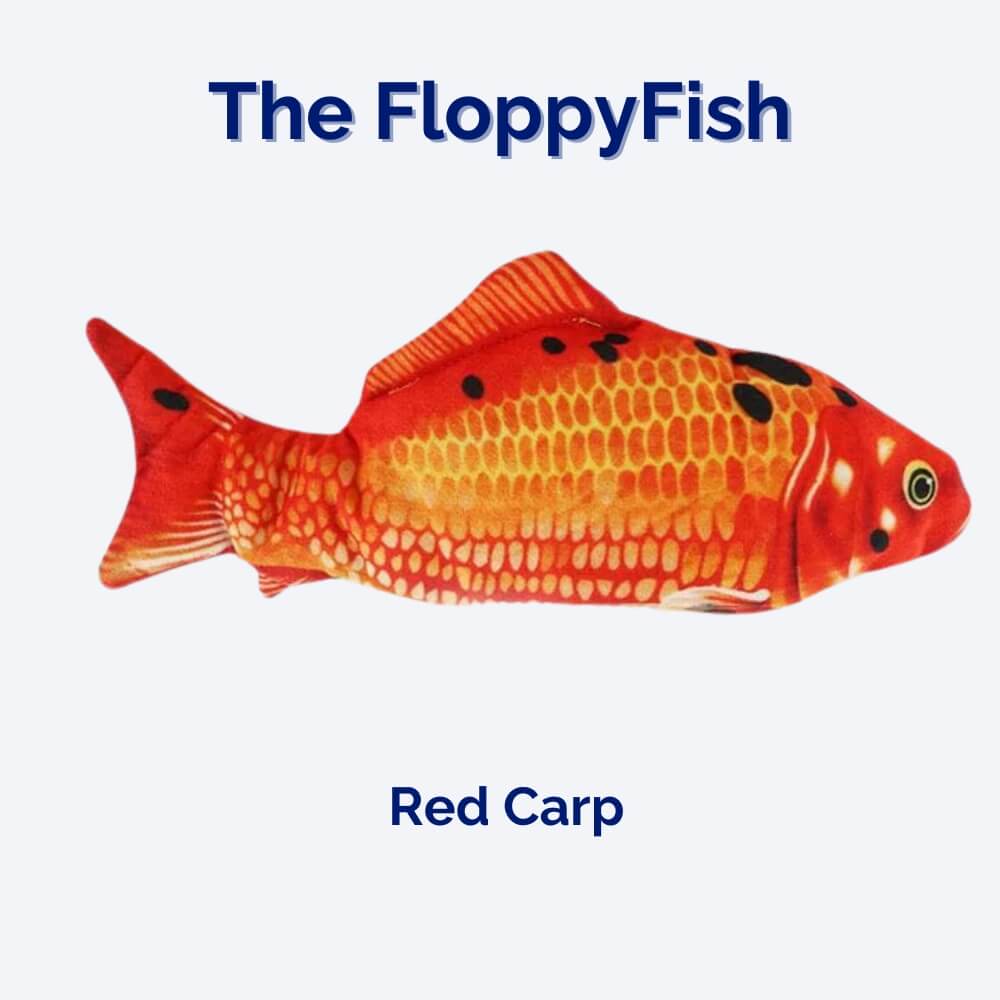 Jouet interactif pour chien FloppyFish 2