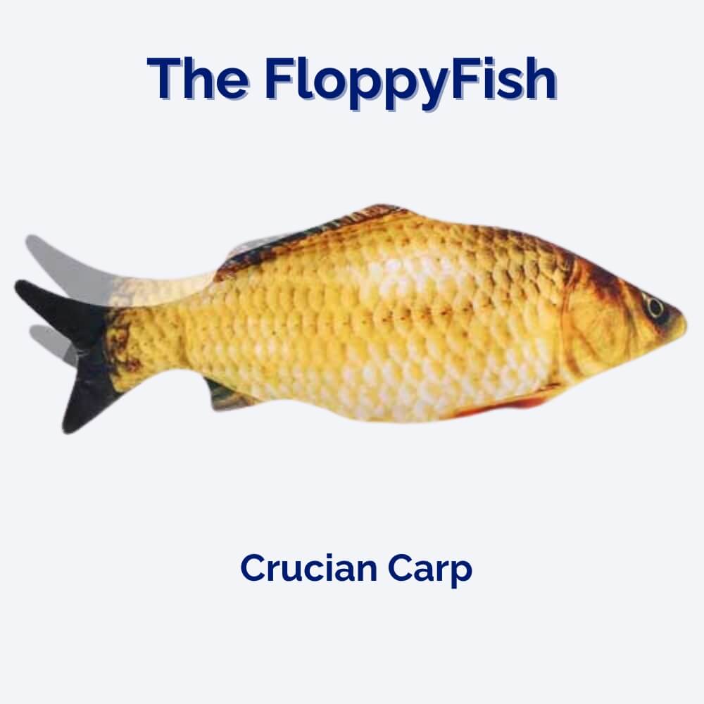 Jouet interactif pour chien FloppyFish 3