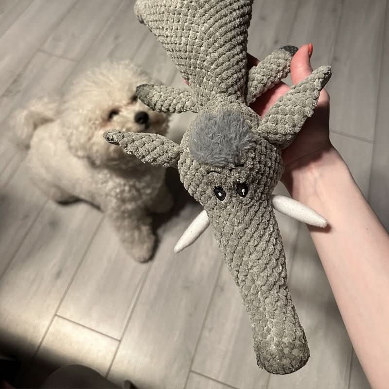 Jouet pour Chien à Mâcher Durable 4