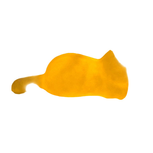 Veilleuse Enfant Chat Rêveur LED Design Compact - Foivo