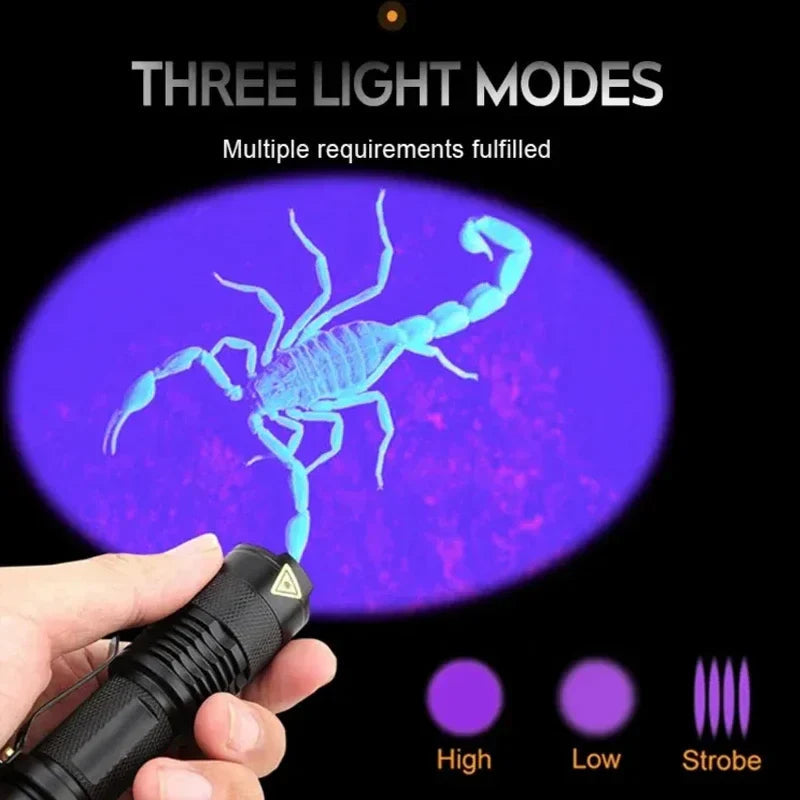 Lampe d'inspection UV LED compacte 5