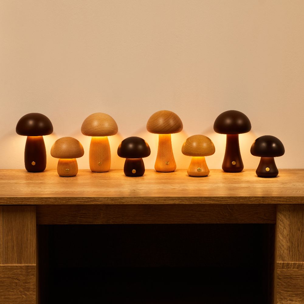 Lampe de table rechargeable Sans Fil avec niveaux de luminosité Style