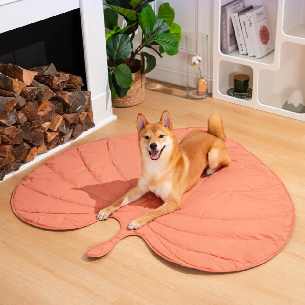Couverture Douillette pour Chiens de Grande Taille