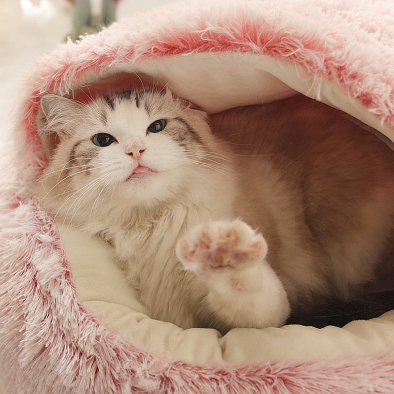 Lit Pour Chat Douillet Avec Coussin Confortable et Design Semi-Fermé 3