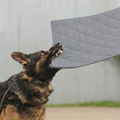 Lit Pour Chien Confortable Avec Tapis D'Entraînement Pratique 0