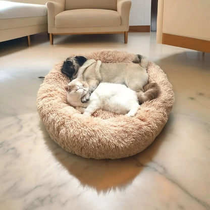 Lit Pour Chien Doux Avec Bord Surélevé Pour Confort Optimal 1