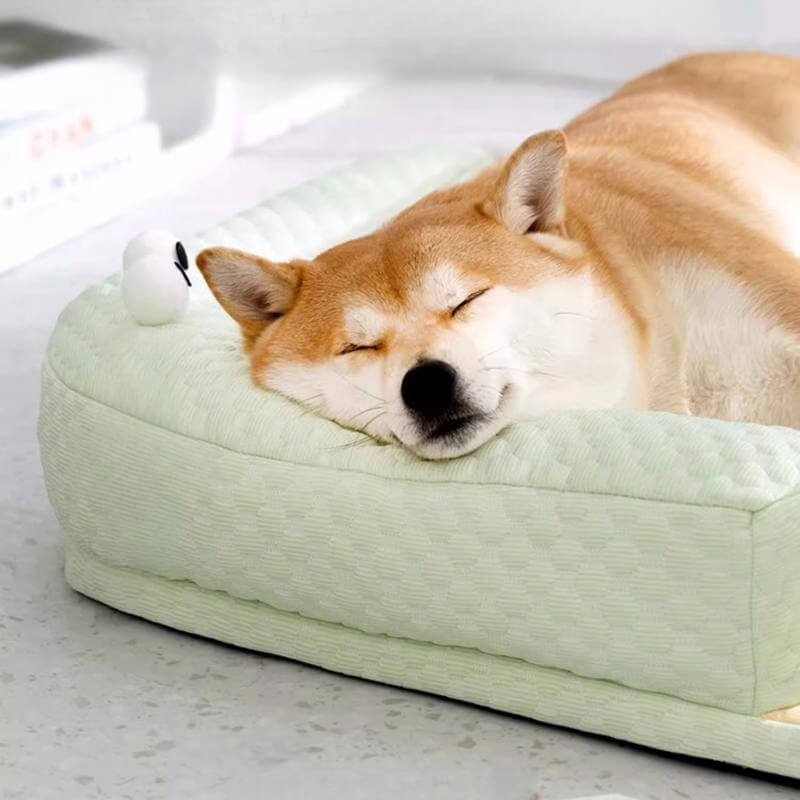 Lit Rafraîchissant pour Animaux de Compagnie 3