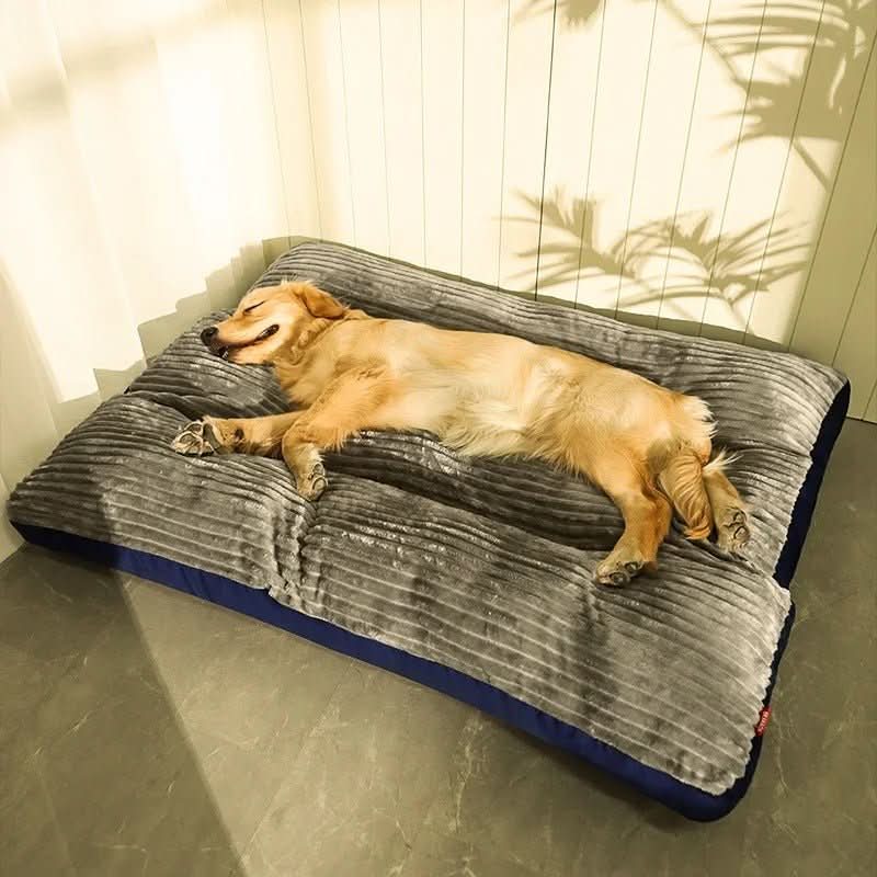 Lit Chien Confortable Douillet - Foivo