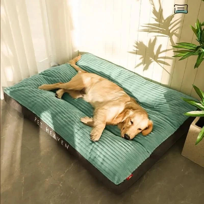 Lit pour chien Confort Douillet 1