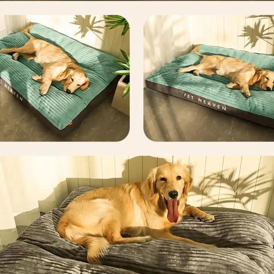 Lit pour chien Confort Douillet 2