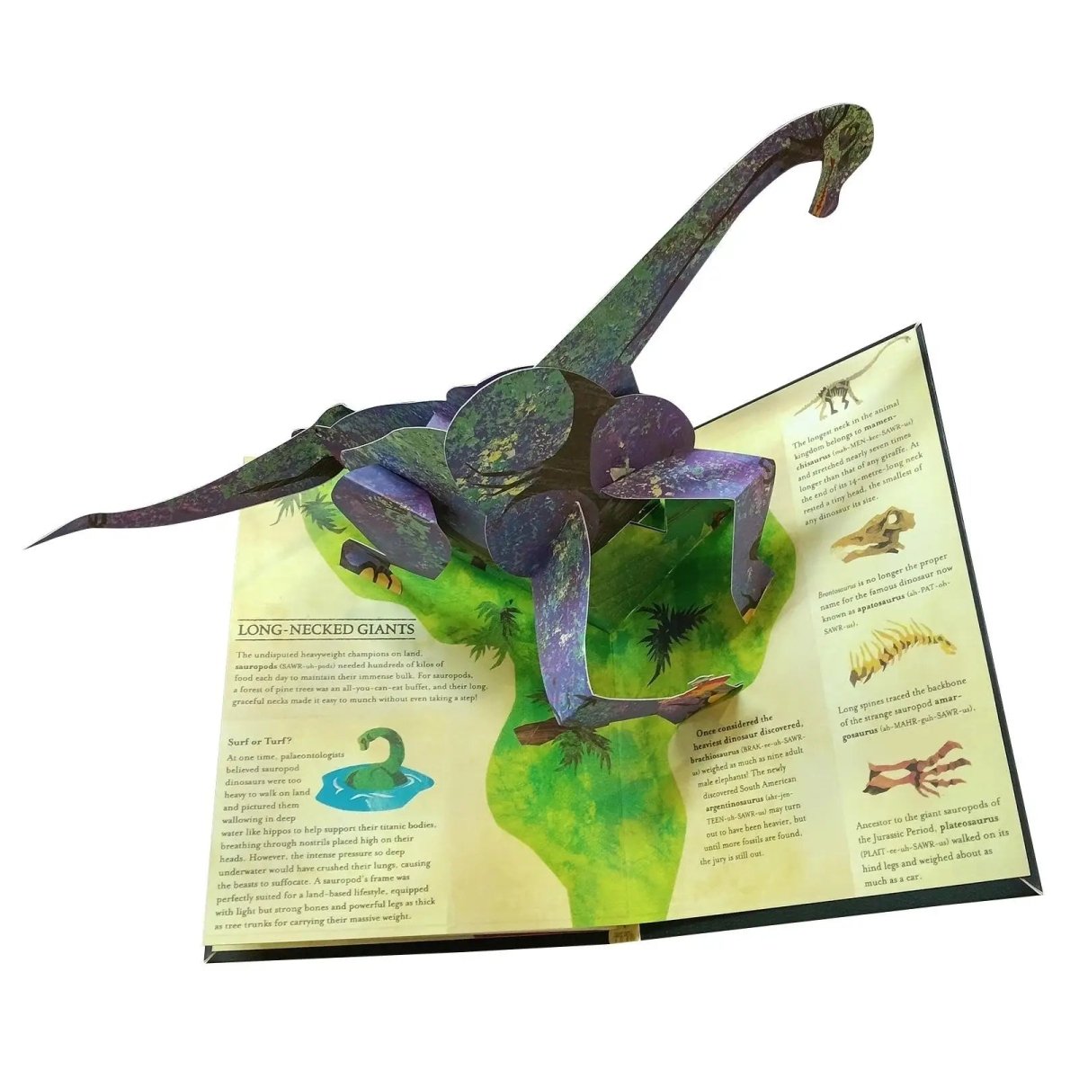 Livre Pop-up Enfant 3D Dinosaure Interactif - Foivo