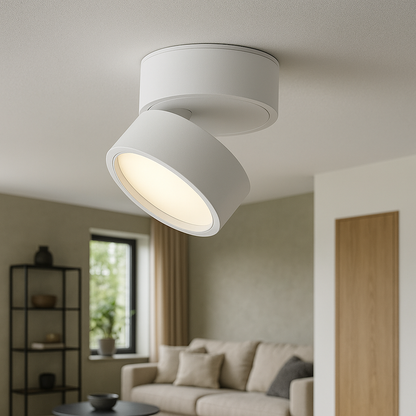 Luminaire Plafond Moderne Élégant 2 Pièces