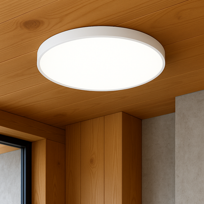 Luminaire Plafond LED Chic et Élégant