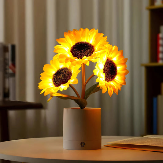 Lampe LED Portative Solaire Chaude - blxckfr