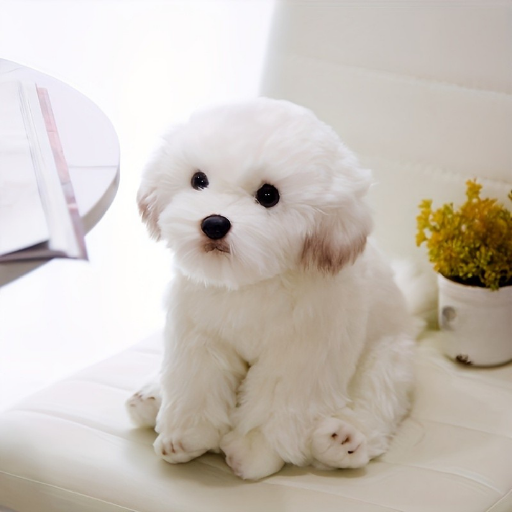 Jouet Chien Doux en Peluche Teddy Câlin Pour Chiot - BlxckFR