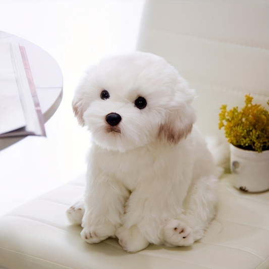 Jouet Chien Doux en Peluche Teddy Câlin Pour Chiot - BlxckFR