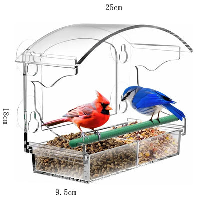 Mangeoire Suspendue pour Oiseaux avec Ventouses 7