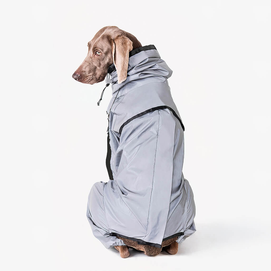 Manteau pour Chien Imperméable et Réfléchissant 7