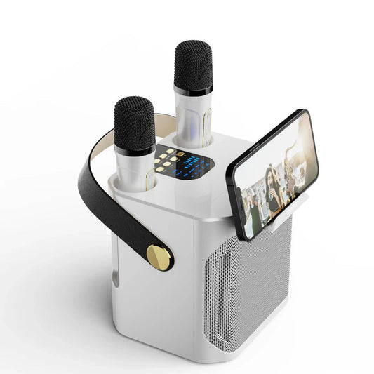 Enceinte Karaoke Élégante Bluetooth | Son Stéréo et Micros Inclus - Foivo