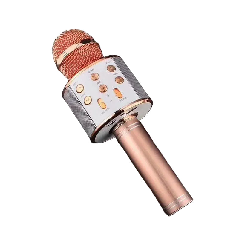 Microphone Karaoké Portable Multifonction Unisexe - Foivo