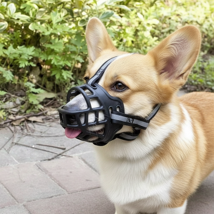 Muselière pour chien Ajustable et Confortable 7