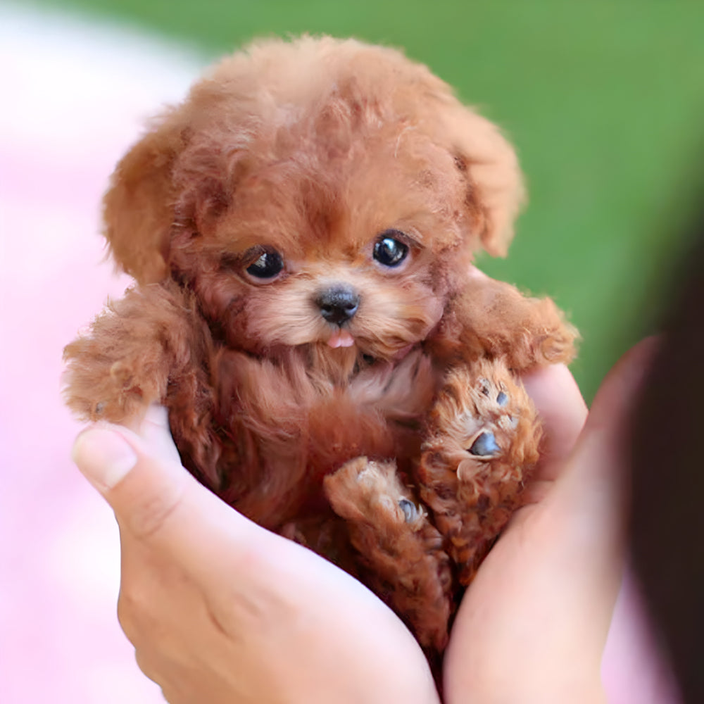 Jouet Chien Robot Réaliste Amusant pour Enfants - BlxckFR