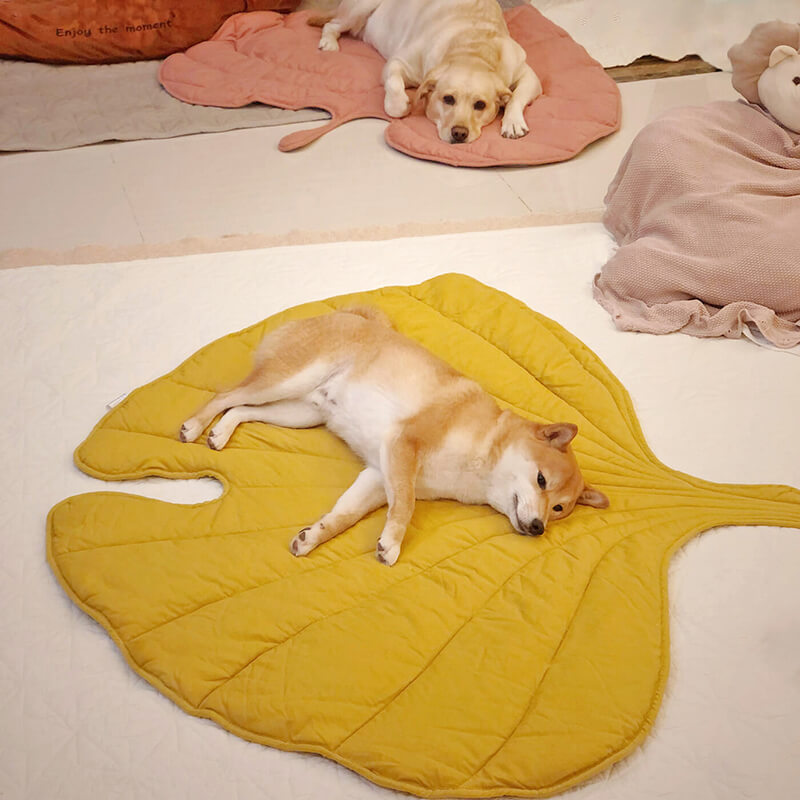 Couverture Douillette pour Chiens de Grande Taille