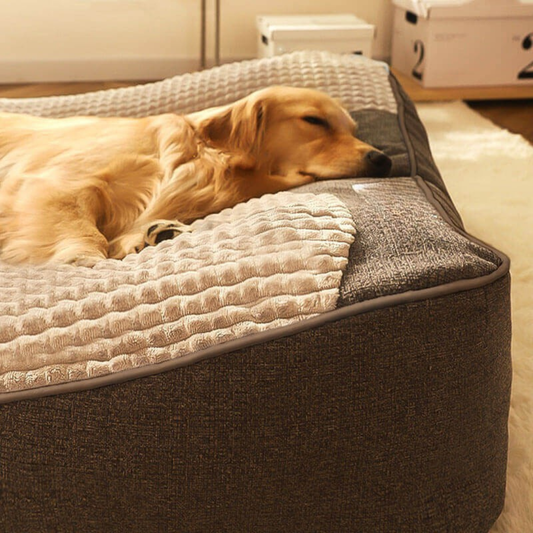 Lit Orthopédique Chien avec Coussin Douillet - BlxckFR