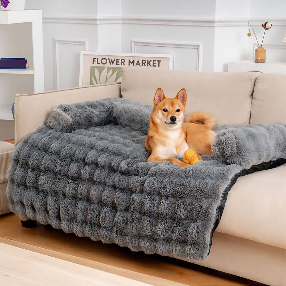 Panier Chien Douillet avec Coussin Confortable pour Moments de Détente 7