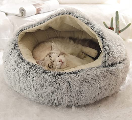 Lit Douillet Chaton et Petit Chien - Foivo