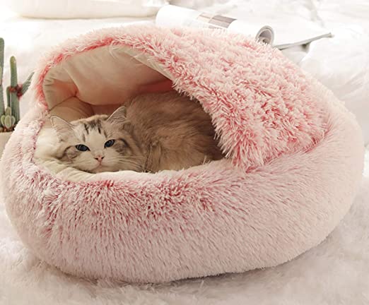 Lit Douillet Chaton et Petit Chien