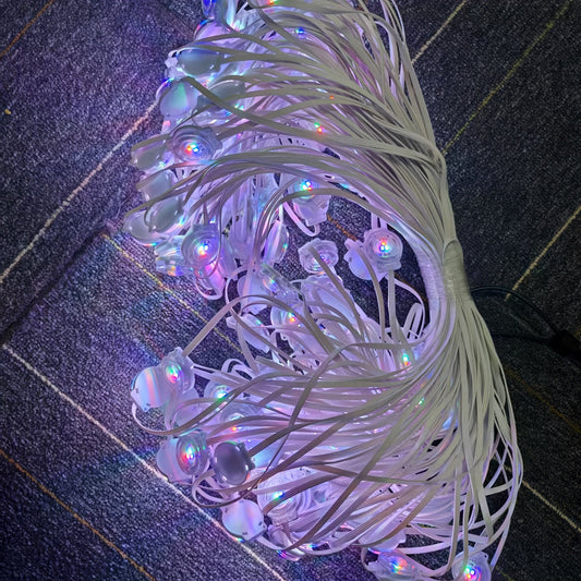 Lumière de Noël LED Étanche Extérieur RGB pour Gouttière - BlxckFR