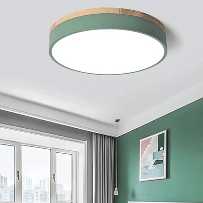 Plafonnier LED Design Naturel avec Accent Vert 2