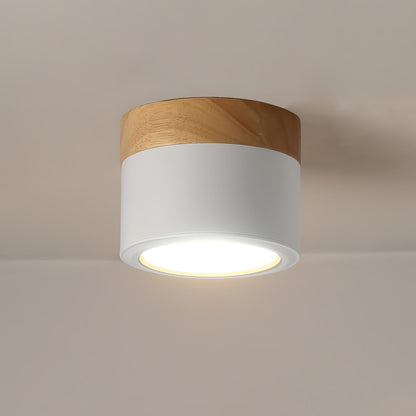 Lampe Plafond Élégante | Éclairage Moderne et Design Nordique