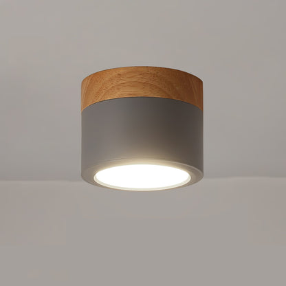 Lampe Plafond Élégante | Éclairage Moderne et Design Nordique