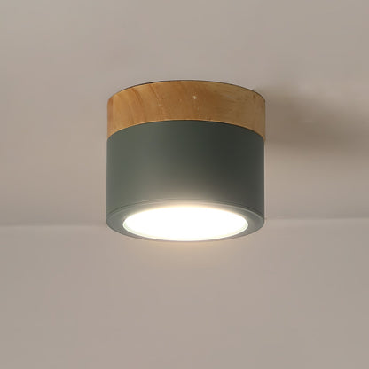 Lampe Plafond Élégante | Éclairage Moderne et Design Nordique