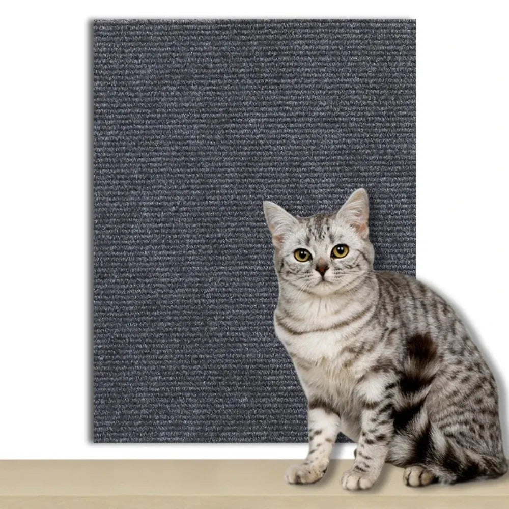 Plaque de Protection Autocollante pour Chats Transparente 8