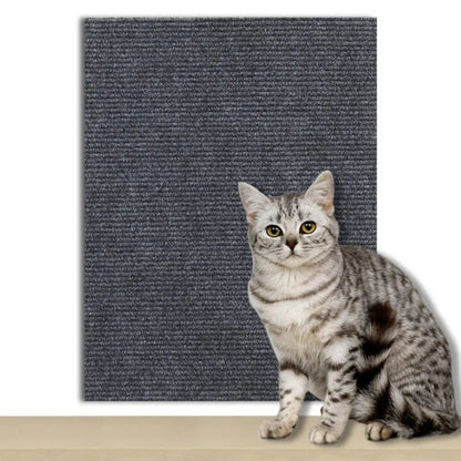 Plaque de Protection Autocollante pour Chats Transparente 8