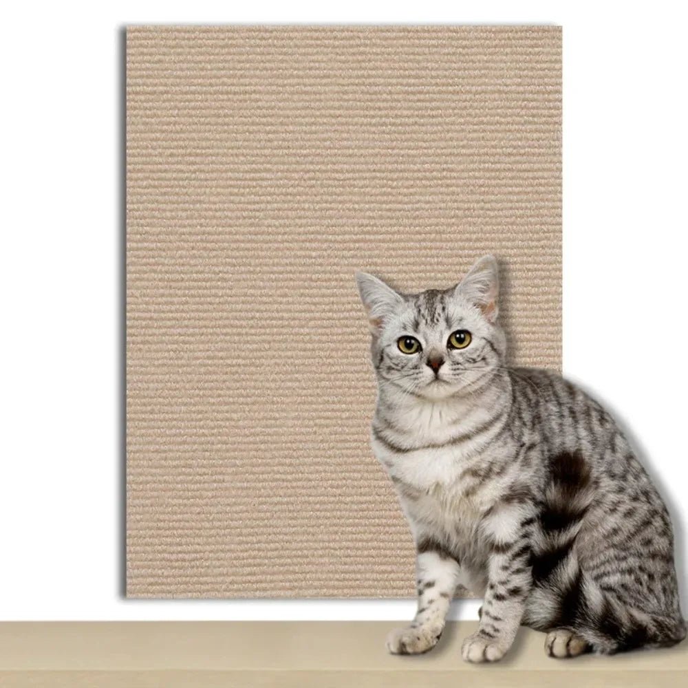 Plaque de Protection Autocollante pour Chats Transparente 9