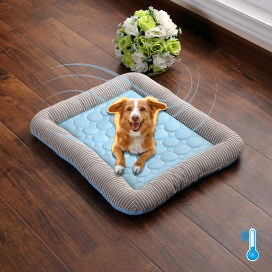 Coussin Chien Respirant et Douillet - blxckfr