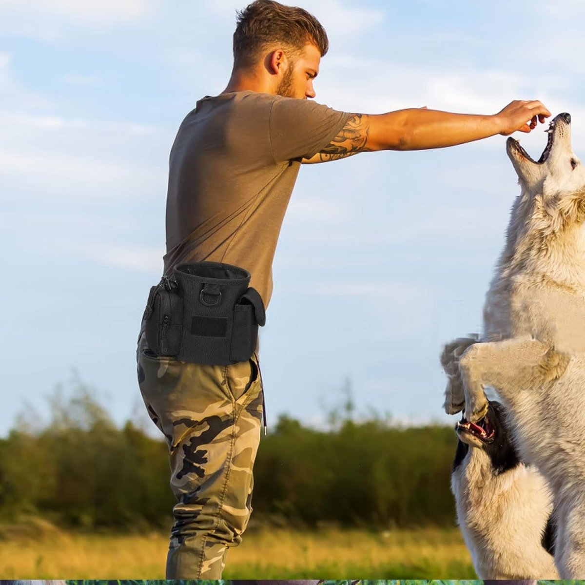 Pochette à friandises pour chien pratique 2