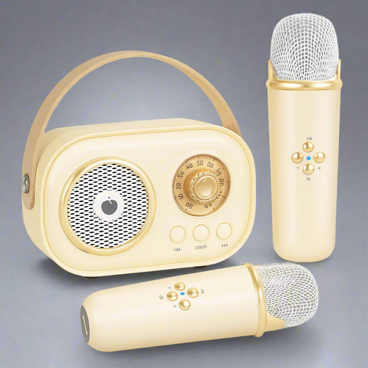 Ensemble de Haut-Parleur Bluetooth Karaoke Vintage - BlxckFR