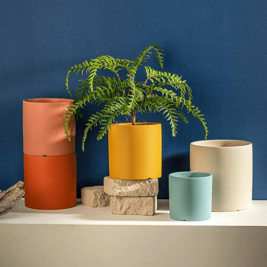Pot de Fleurs Élégant avec Soucoupe pour Intérieur 3